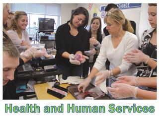 Health and Human Services Program