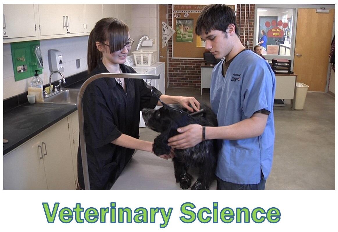 Veterinary Science Program