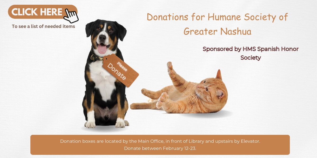 Photo of a dog and cat for Humane Society donations